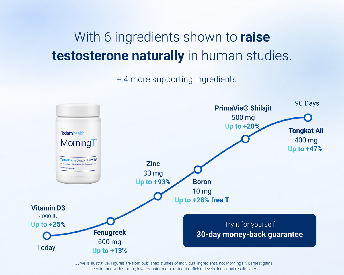 Six MorningT ingredients shown to raise testosterone in human studies, with their clinically studied doses