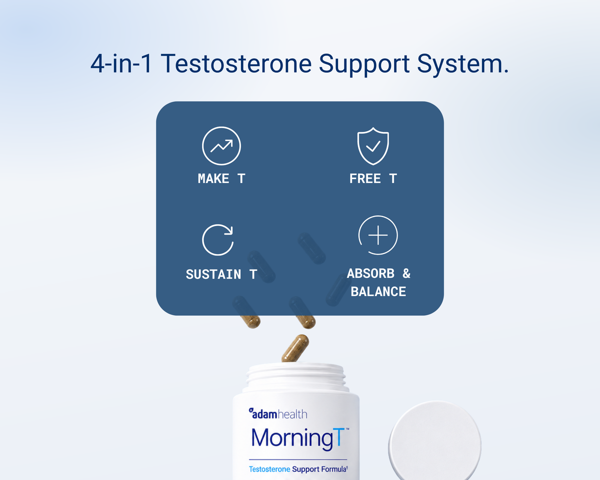 MorningT's four-part testosterone support system: make T, free T, sustain T, and absorb and balance