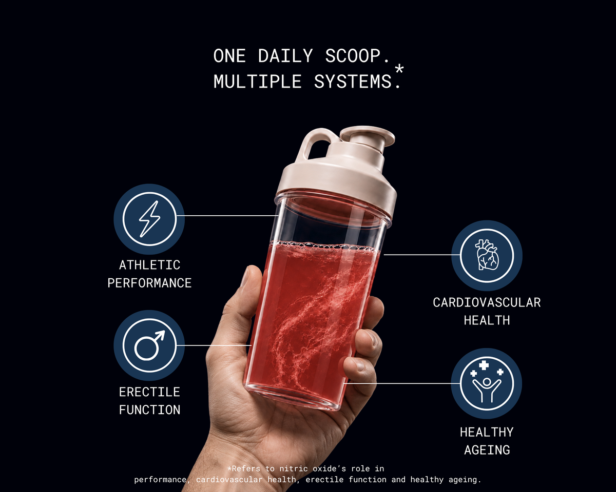 A hand holding a NightNOX shaker, with one daily scoop linked to four systems: athletic performance, cardiovascular health, erectile function and healthy ageing.